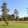 Image result for agropecuarjo