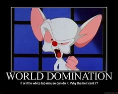 Image result for Pinky and the Brain Funny Memes