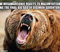 Image result for Angry Bear Meme