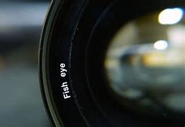 Image result for fish lenses for landscape photographer