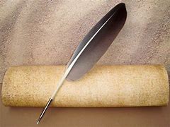 Image result for Goose Feather for Writing