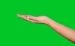 Image result for Greenscreen Hand Adding Solt