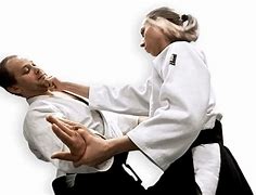 Image result for Aikido