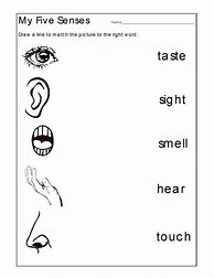 Image result for Five Senses Worksheet for Kg