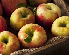 Image result for Honeycrisp Apples