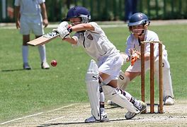 Image result for Outdoor Games Activity Cricket