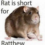 Image result for FaceTime Rat Meme
