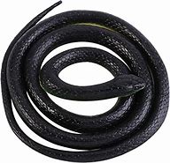 Image result for Rubber Snakes Realistic