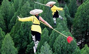 Image result for 5 Styles of Kung Fu