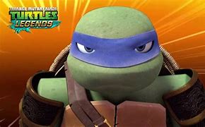 Image result for TMNT Leo Angry