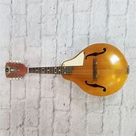 Image result for Vintage Kay Mandolin