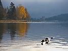 Image result for 501 Government Way, Coeur d'Alene, Idaho 83814