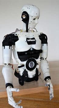 Image result for Humanoid Robots for Adults