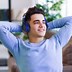 Image result for Wireless Headphones Model 8002