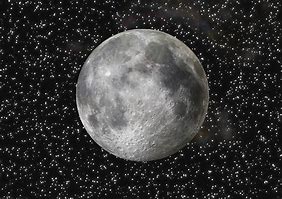 Image result for SpaceX Starship Moon