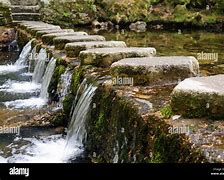 Image result for Stepping Stones in Tollymore Forest Park