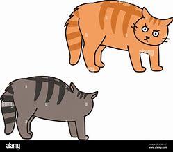 Image result for Hissing Cat Clip Art