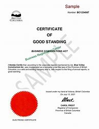 Image result for What Is a Good Standing Certificate