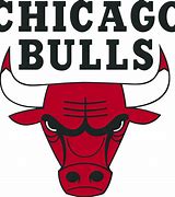Image result for Projected Chicago Bulls Logo