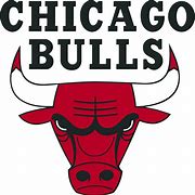 Image result for NBA Chicago Bulls Logo