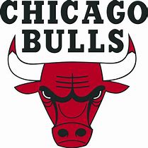 Image result for Chicago Bulls Emblem