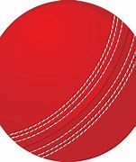 Image result for Cricket Symbol