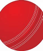 Image result for Cricket Team