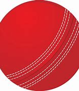 Image result for Cricket Transparent