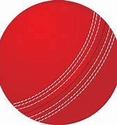 Image result for SG Cricket Bat