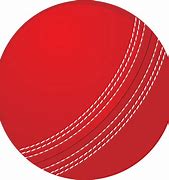 Image result for SG Cricket Kit