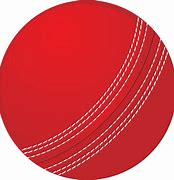 Image result for Neon Cricket Bag