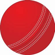 Image result for Transparent Cricket Generic Images