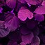 Image result for Purple Nature Wallpaper iPhone