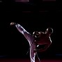 Image result for Types of Martial Arts Kicks