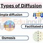 Image result for Diffusion Definition Biology
