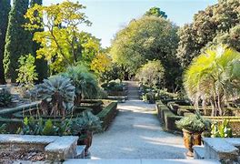 Image result for Jardin Des Plantes Montpellier