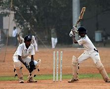 Image result for Cricket Foto