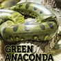 Image result for Big Green Anaconda Amazon