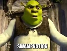 Image result for Will Smith Shrek Meme What Are You Doing in My Swamp