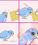 Image result for Bird Cracker Meme
