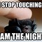 Image result for Flying Bat Funny Memes