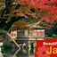 Image result for Amazing Japanese Garden