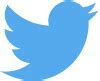 Image result for Twitter Bird Logo Transparent