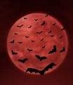 Image result for Bat Silhouette