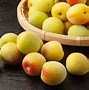 Image result for China Plum