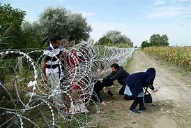 Image result for Adult Migrants