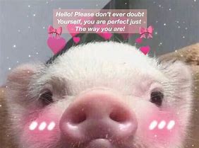 Image result for Pet Pig Meme