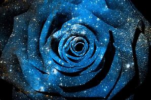 Image result for Galaxy Rose