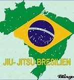 Image result for Jiu Jitsu Brazilian Physique