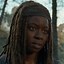 Image result for Michonne Walking Dead Actress